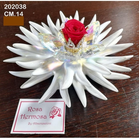 Riccio marino con fiori cristallo, corona di strass e rosa eterna